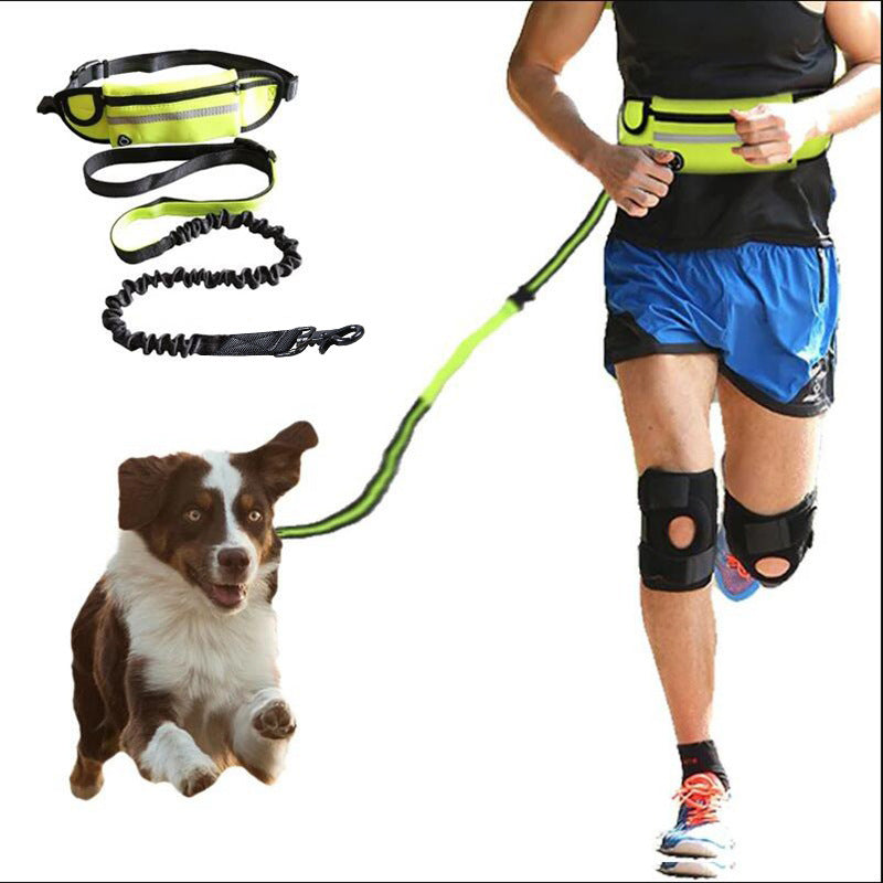 Hands Free Dog Leash Pet Walking And Training Belt With Shock Absorbing Bungee Leash For Up To 180lbs Large Dogs Phone Pocket And Water Bottle Holder  -  - Pets Crazy Shops -