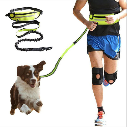 Hands Free Dog Leash Pet Walking And Training Belt With Shock Absorbing Bungee Leash For Up To 180lbs Large Dogs Phone Pocket And Water Bottle Holder  -  - Pets Crazy Shops -
