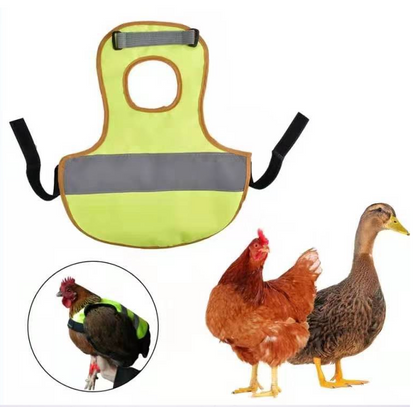 Chicken reflective vest  -  - Pets Crazy Shops -