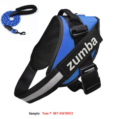 Personalized Reflective Breathable Adjustable Dog Harness and Leash Set  -  - Pets Crazy Shops -