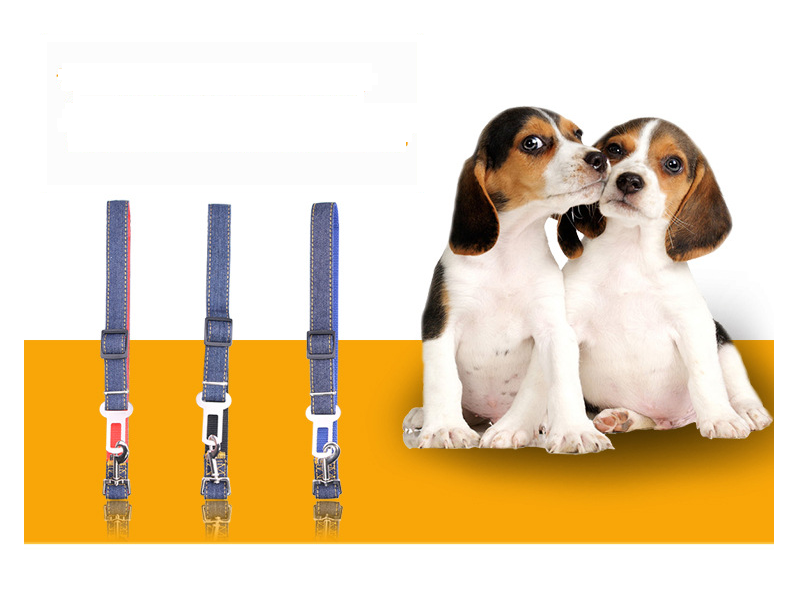 Pet Car Seat Belt Cowboy Retractable Seat Belt  -  - Pets Crazy Shops -