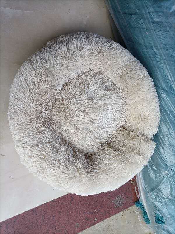 Pet sleep bed  -  - Pets Crazy Shops -