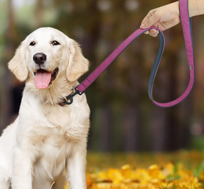 Pet Dog Leash Pull-resistant Leather Products  -  - Pets Crazy Shops -