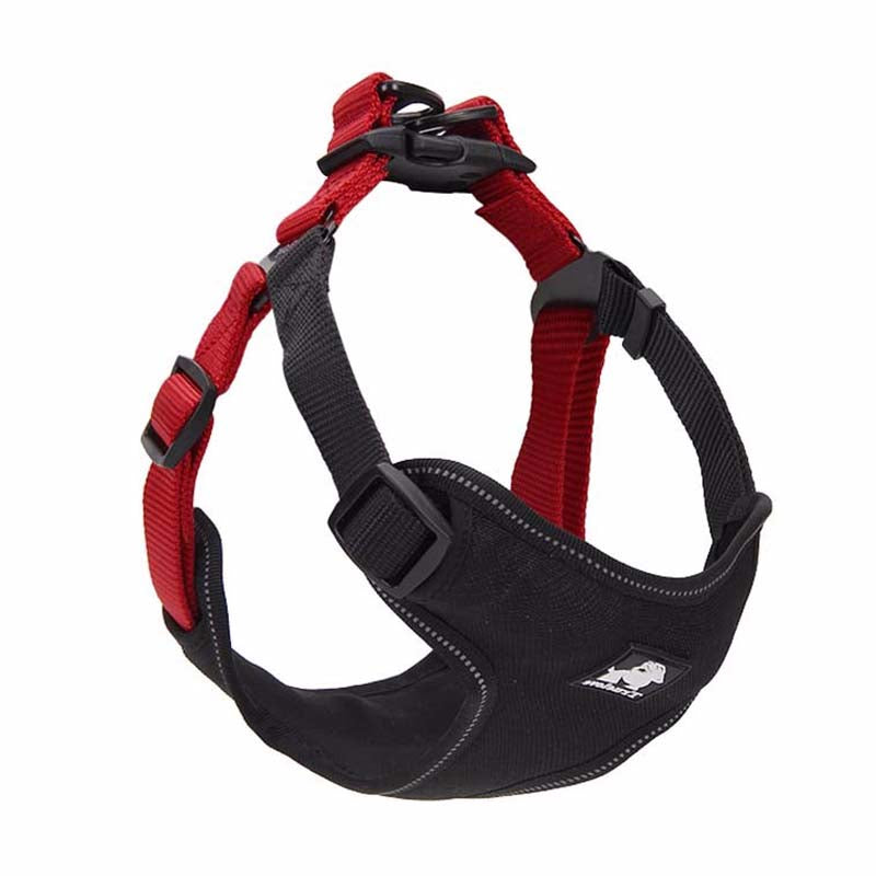 Dog leash collar walking dog leash  -  - Pets Crazy Shops -