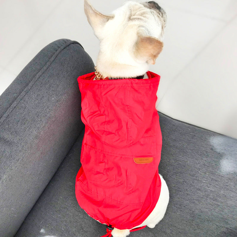 Sunscreen for dogs  -  - Pets Crazy Shops -
