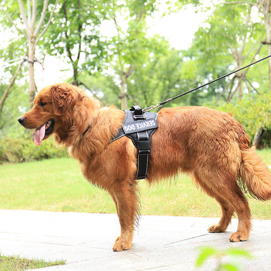 Personalization Of Pet Chest Strap Products  -  - Pets Crazy Shops -