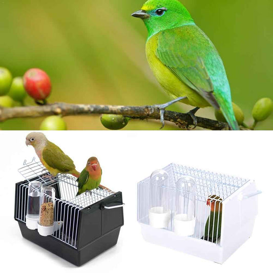 Out of the bird cage  -  - Pets Crazy Shops -