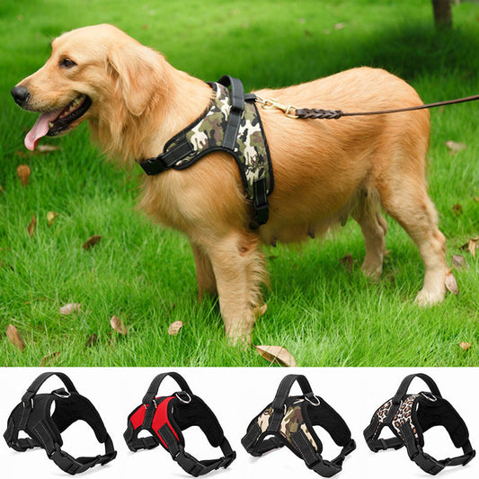 Pet Supplies Medium and Large Dog Dog Collar  -  - Pets Crazy Shops -
