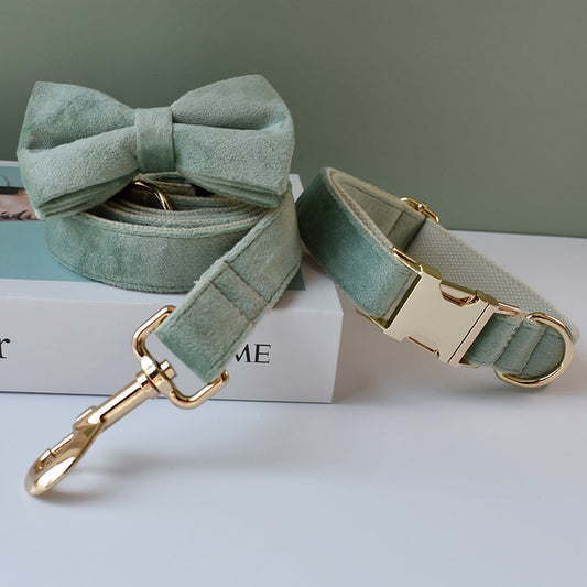 Mint Green Dog Collar Leash  -  - Pets Crazy Shops -