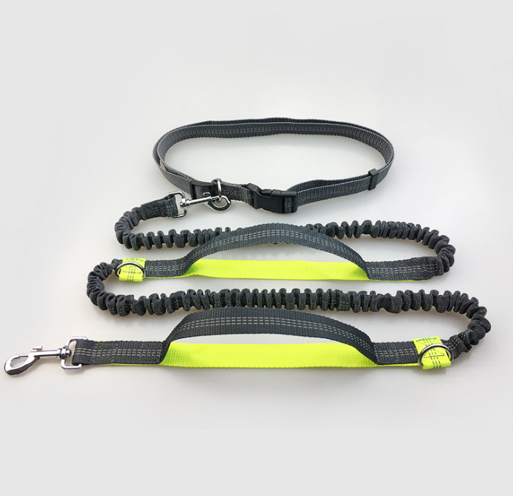 Amazon direct pet supplies multi-function running reflective pull dog leash double elastic dog leash traction  -  - Pets Crazy Shops -