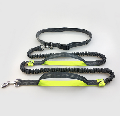 Amazon direct pet supplies multi-function running reflective pull dog leash double elastic dog leash traction  -  - Pets Crazy Shops -