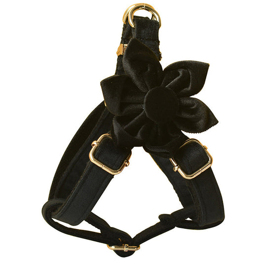 Black Flannel Gold Buckle Dog Harness Pet Supplies Pet Chest Harness  -  - Pets Crazy Shops -