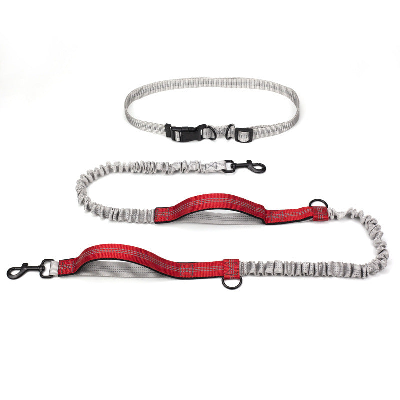 Pet Supplies Outdoor Running Dog Leash  -  - Pets Crazy Shops -