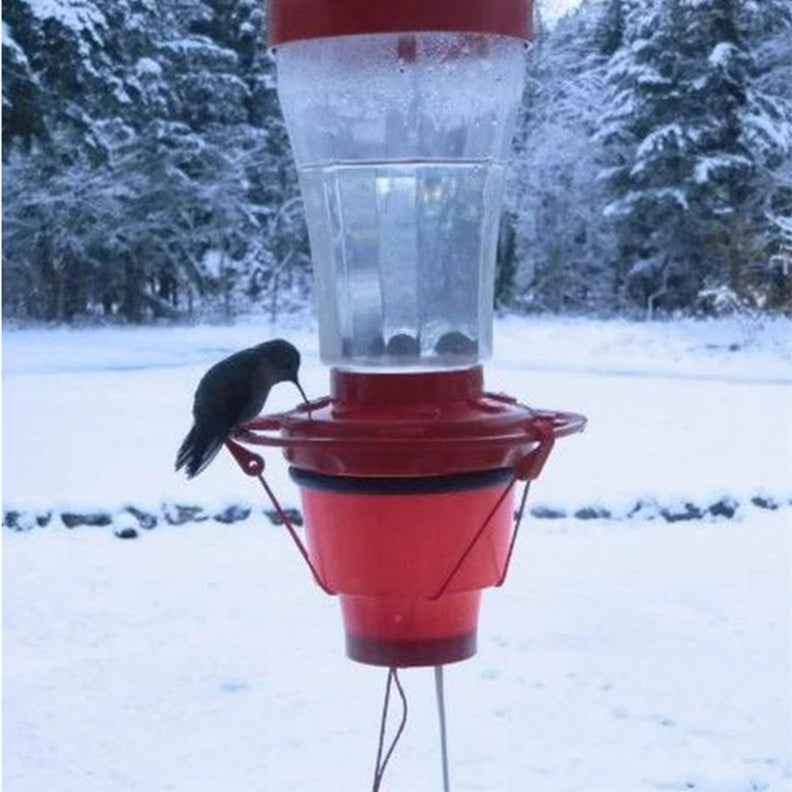 Bird Center Hummingbird Stove Hummingbird Heater  -  - Pets Crazy Shops -