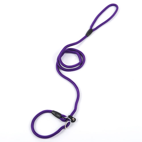 Dog leash dog leash pet leash  -  - Pets Crazy Shops -
