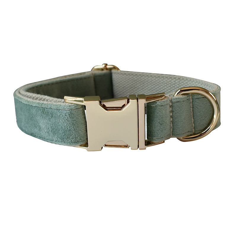 Mint Green Dog Collar Leash  -  - Pets Crazy Shops -