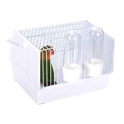 Out of the bird cage  -  - Pets Crazy Shops -