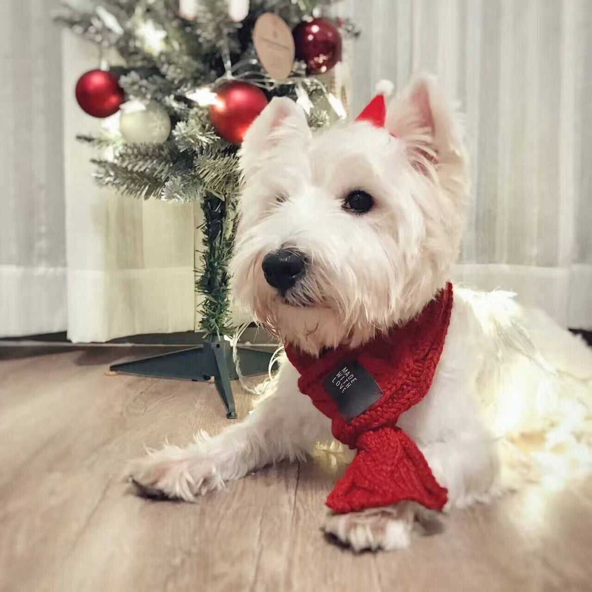 Pet scarf  -  - Pets Crazy Shops -