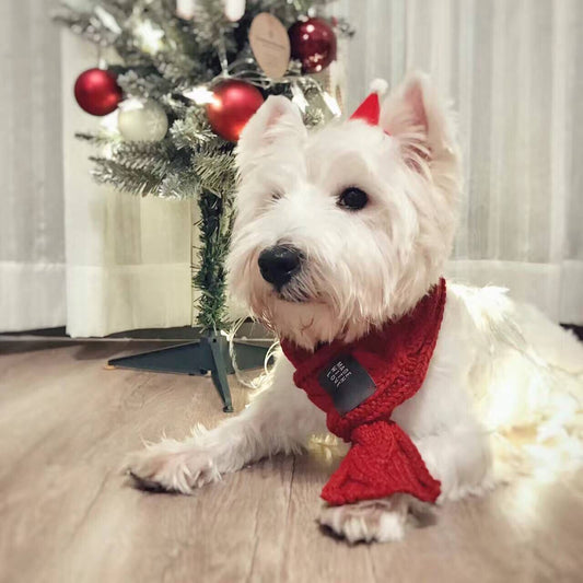 Pet scarf  -  - Pets Crazy Shops -