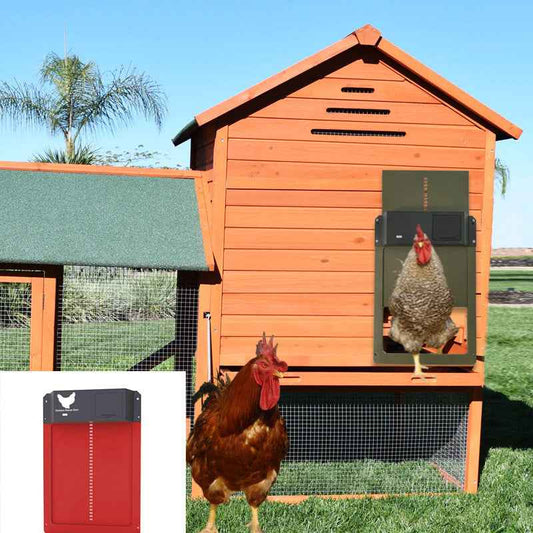 Coop Pet Door Automatic Chicken Coop  -  - Pets Crazy Shops -