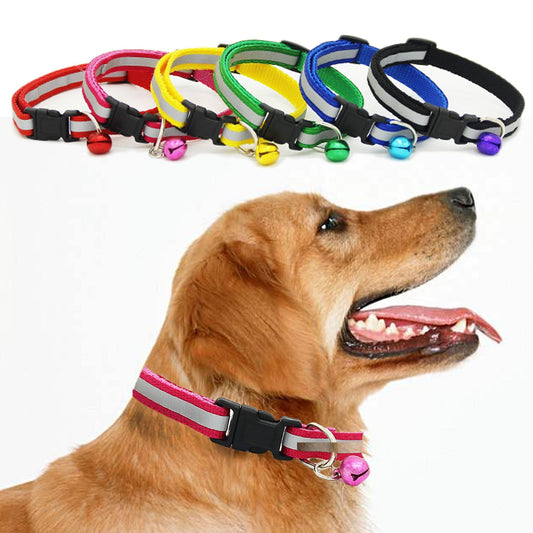 Fluorescent dog collar  -  - Pets Crazy Shops -