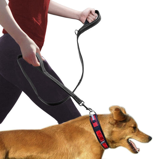 Pet Double Handle Pull Leash  -  - Pets Crazy Shops -