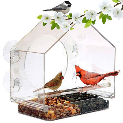 Bird Feeder Camera Live Bird Feeder Cam Bird Buddy Smart Bird Feeder With Camera  -  - Pets Crazy Shops -