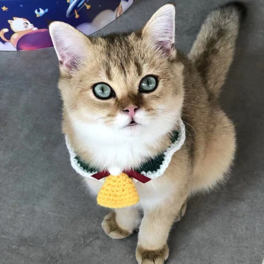 Wool Pet Collar Hand Woven Collar Christmas Pet Accessories  -  - Pets Crazy Shops -