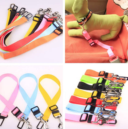 Fixed Strap Polyester Dog Strap Dog Leash Dog Leash  -  - Pets Crazy Shops -