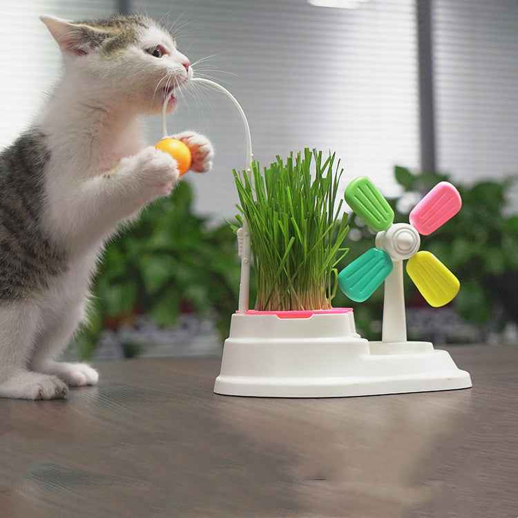 Windmill Funny Cat Stick Toy Desktop Grass Box Pet Toys  -  - Pets Crazy Shops -