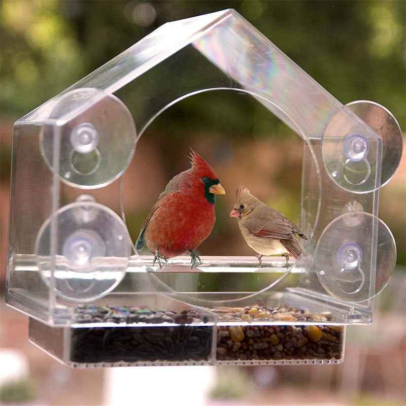Bird Feeder Camera Live Bird Feeder Cam Bird Buddy Smart Bird Feeder With Camera  -  - Pets Crazy Shops -