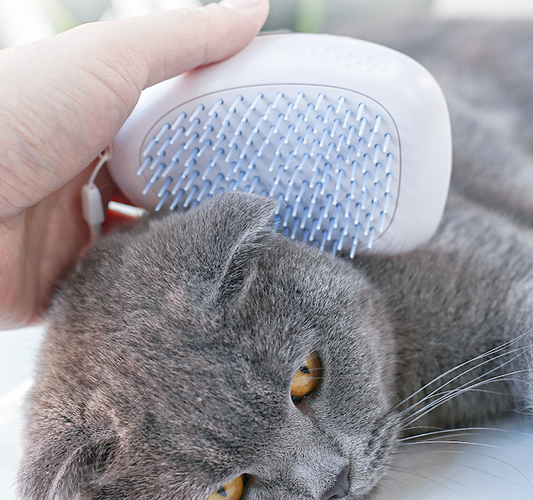 Brush Brush Cat Hair White Pet  -  - Pets Crazy Shops -