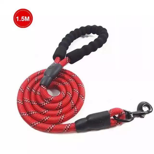 Small Medium Sized Pet Dog Luminous Leash Chain Puppies  -  - Pets Crazy Shops -