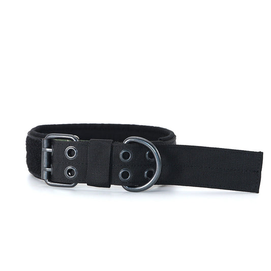 Copybook Dog Collar Medium And Large Dog Dog Collar Collar Collar Collar  -  - Pets Crazy Shops -