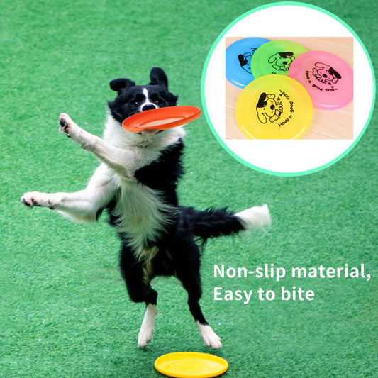 Dog Flying Disc | Outdoor Interactive Frisbee Toy