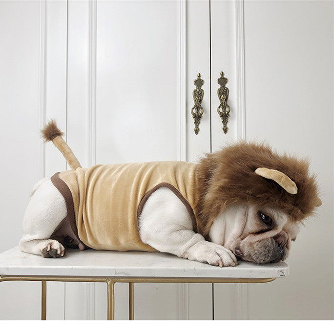 Dog Lion Clothes Pet Supplies Halloween Cat Clothes  -  - Pets Crazy Shops -