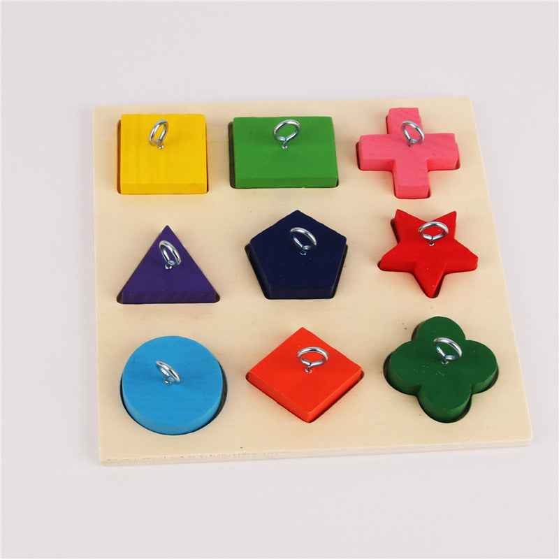 Parrot Training Toy 9 Color Wooden Blocks  -  - Pets Crazy Shops -