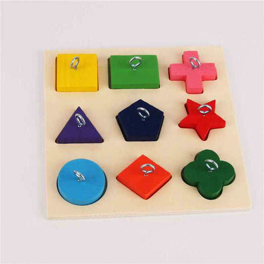 Parrot Training Toy 9 Color Wooden Blocks  -  - Pets Crazy Shops -