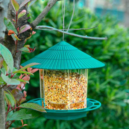 Outdoor Garden Hanging Transparent Bird Feeder  -  - Pets Crazy Shops -