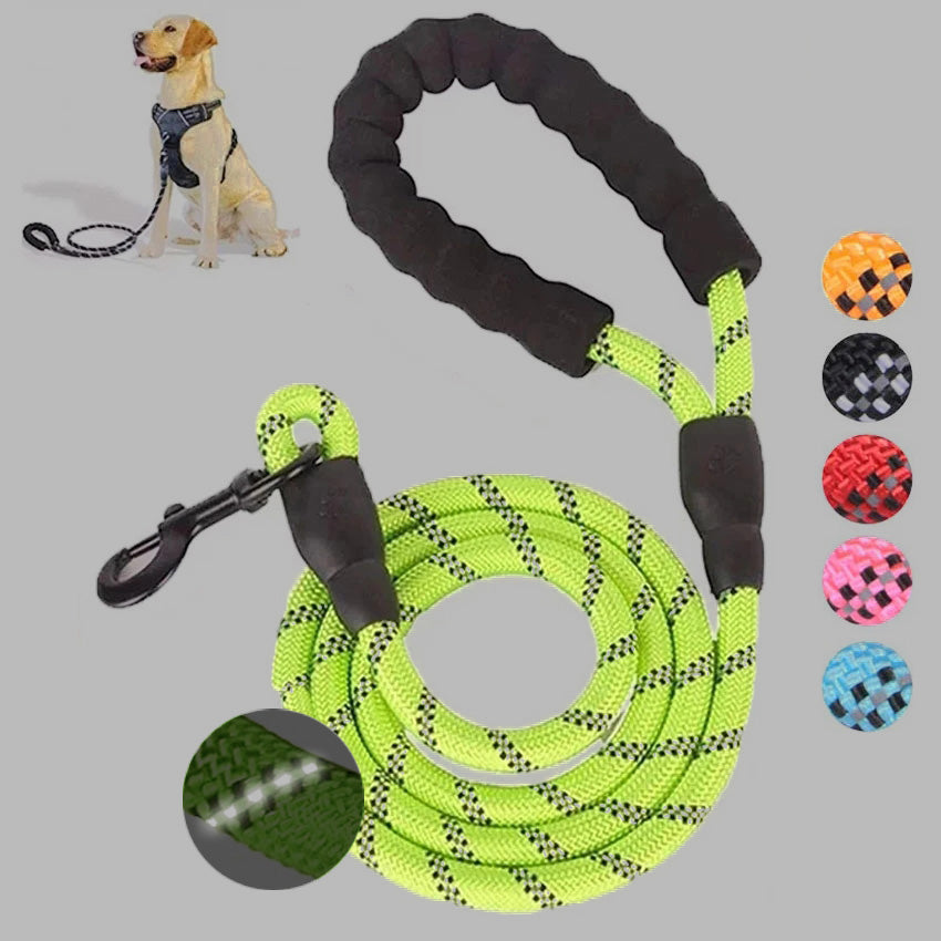 Small Medium Sized Pet Dog Luminous Leash Chain Puppies  -  - Pets Crazy Shops -