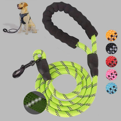 Small Medium Sized Pet Dog Luminous Leash Chain Puppies  -  - Pets Crazy Shops -