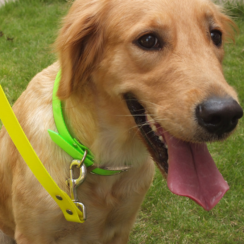 Collars Dirty-resistant Collars Dog Pens Pets  -  - Pets Crazy Shops -