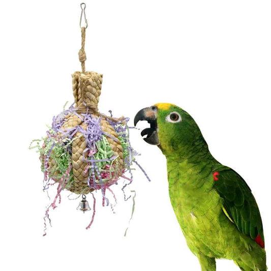 Drawing Straw Rope Toy Parrot Paper  -  - Pets Crazy Shops -