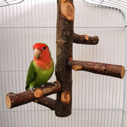 Parrot Bird Wood Stand Pole Toy  -  - Pets Crazy Shops -