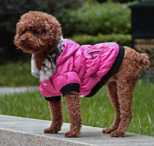 Zippered Cotton Padded Clothes For Pets  -  - Pets Crazy Shops -