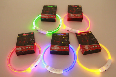 Pet Flashing Collar USB Rechargeable Glowing Necklace Safety Collar Light Up Collars For Night Walking Electric Dog Collar Neon  -  - Pets Crazy Shops -