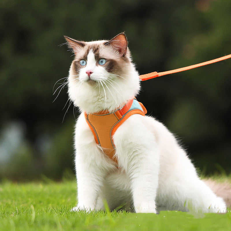 Anti Escape Reflective Cat Harness Leash  -  - Pets Crazy Shops -
