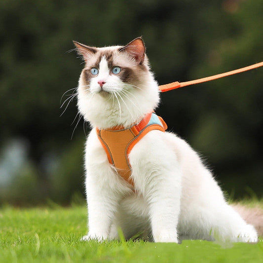 Anti Escape Reflective Cat Harness Leash  -  - Pets Crazy Shops -