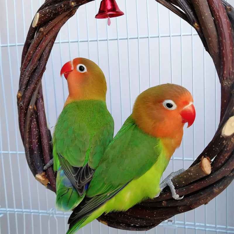 Bird Standing Frame Rattan Ring Chewing Toy Bird Cage  -  - Pets Crazy Shops -