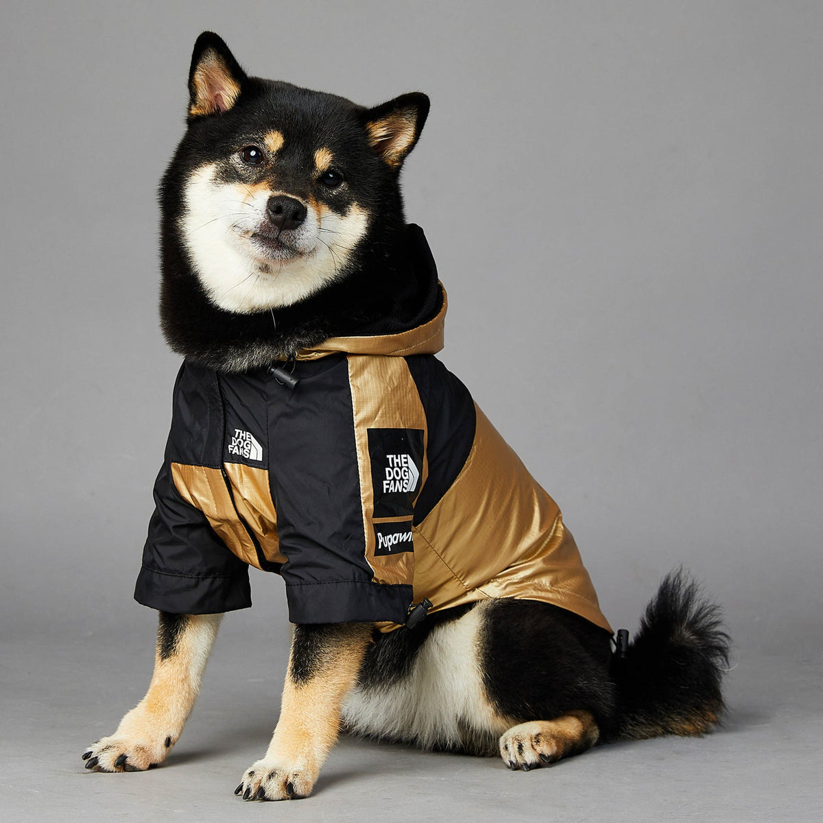 Dog Large Dog Raincoat Pet Jacket  -  - Pets Crazy Shops -